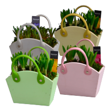 Bollen in houten tas